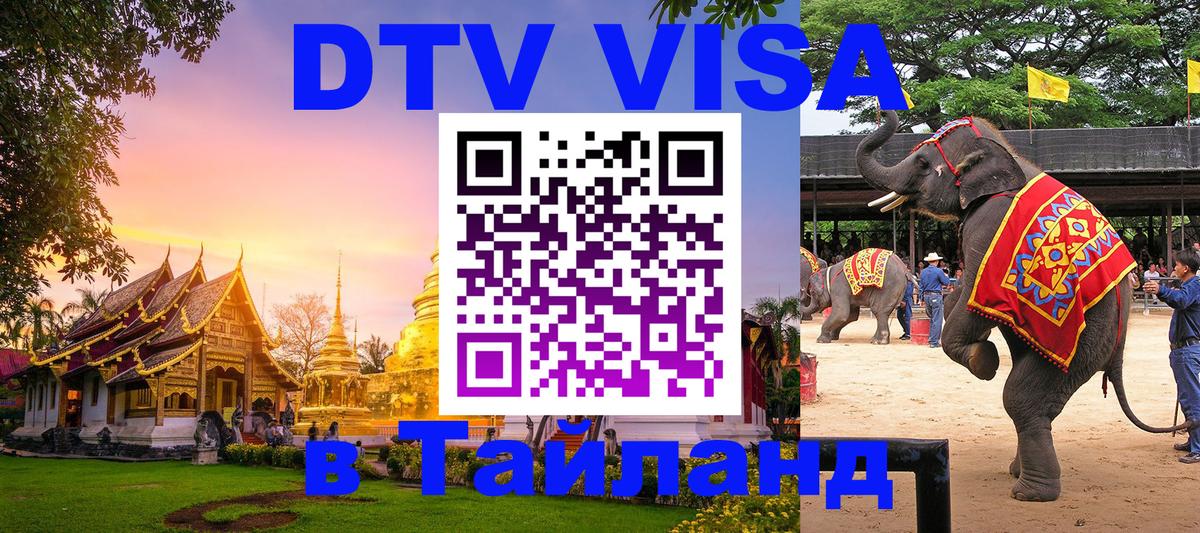 Сколько стоит DTV виза — актуальные цены, оформление даже без документов - 10.01.2026 